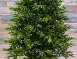 Искусственная елка Королевская Премиум 215 см, литая + ПВХ, Triumph Tree