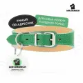 Ошейник-селедка Mr.Kranch для собак из натуральной кожи с QR-адресником, 19-23см, зеленый Mr. Kranch 4630147175253