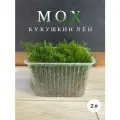 Мох кукушкин лен 2л свежий лесной