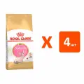 ROYAL CANIN SPHYNX KITTEN для котят сфинксов NEW 2 кг х 4 шт