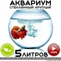 Аквариум vecchio vaso шар круглый стеклянный для рыбок 5 литров