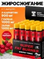 Жиросжигатель Разрушитель жировых тканей Super Fat Burner 25 мл 20 амп (Спортивные технологии) Барбарис