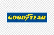 Шина Goodyear Efficientgrip 2 SUV R19 225/50 100V XL FP