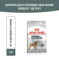 Сухой корм для собак мелких пород Royal Canin Mini Dental Care для ухода за зубами, 1 кг