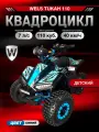 Комплект квадроцикла WELS TUKAH 110 см³, 8 л. с, центробеж. сцепление F-N-R, Синий