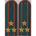 Погоны МЧС на китель ( на пластике), полковник