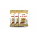 Royal Canin Cocker Adult корм для собак породы кокер-спаниель в возрасте от 12 месяцев - 3 кг х 3 шт.