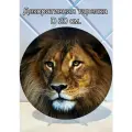Декоративная тарелка Лев