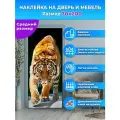 Наклейка интерьерная на дверь Тигр, 70 х 200 см, самоклеющаяся