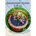 Декоративная тарелка Черника в корзине