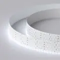 Светодиодная лента RT 2-2500 24V Cool 8K 5x2 (2835, 875 LED, LUX) (ARL, 36 Вт/м, IP20) 2,5м