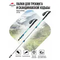 Треккинговые палки Naturehike ST01 NH17D001-Z (комплект)