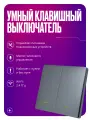 Умный выключатель Wi-Fi, двухклавишный, серый, с подсветкой, импульсный, с нулем и без нуля, умный дом