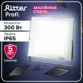 Прожектор светодиодный уличный Ritter Profi 53413 0 300 Вт 30000 Лм 180-240В холодный белый свет 6500К IP65 черный