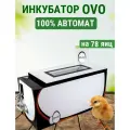 Инкубатор OVO до 78 яиц (100% автомат)