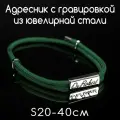 Украшение для собак и кошек. Адресник из ювелирной стали 30мм с гравировкой на шнурке. Шнур паракорд 4мм. Зеленый S