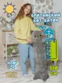 Британский кот Батон длинный 110см серый