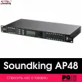 Цифровой спикер процессор Soundking AP48