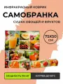 Сушилка для овощей, фруктов, грибов, 75*50 см.
