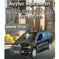 Машинка металлическая Технопарк, Аурус Арсенал, 13,8 см, черный, свет-звук