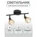 Настенно-потолочный светильник Проволочный 2 плафона Черн/Золото