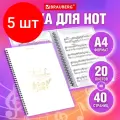 Комплект 5 шт, Папка-тетрадь для нот А4, 20 вкладышей на 40 страниц, на гребне, пластик, БЕЛАЯ, BRAUBERG, 404644