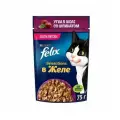 Felix Sensations 75 г пауч влажный корм для кошек, с уткой в желе со шпинатом 78 шт