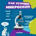 Детский микроскоп в кейсе Supereyes MyLab M10, 300x-1200x (с набором для опытов и 5 микропрепаратами)