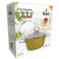 Кастрюля эмалированная Rashel с крышкой, с элементами под серебро, 5.2 л/d 26см, оливковый