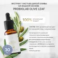 Органический экстракт листьев дикой оливы Probiolab OLIVE LEAF, жидкость 30 мл