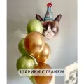 Воздушные шары с гелием в подарок для мужчины Сердитый кот и 7 шаров хром