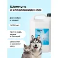Шампунь для собак и кошек с хлоргексидином 2%, 5л, против зуда, профессиональный, Pamilee