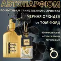 Автопарфюм AromaKo Черная Орхидея, подвесной, вонючка в машину