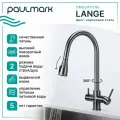 Смеситель для кухни Paulmark Lange 214212-GM вороненая сталь