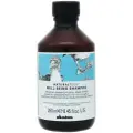 Davines шампунь NaturalTech Well-Being, 250 мл