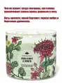 Bath and Body Works свеча ароматическая с 3-мя фитилями Bergamot & Birch (411 грамм)