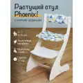 Растущий стул для детей Phoenix с 2 до 16 лет с мягким сиденьем