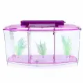 Аквариум-отсадник трехсекционный с подсветкой и светящимися растениями, фиолетовый