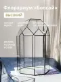 Флорариум геометрический Бонсай