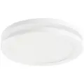 Светильник Lightstar Maturo 070652, LED белый белый 1 шт. теплый белый 3000 K 5 Вт 120 °
