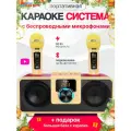 Караоке-система с двумя беспроводными микрофонами K-08 gold