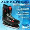 Хоккейные коньки Rgx-2.1 (для проката) размер 38