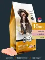 Gina Puppy Chicken 18кг (Сербия) суперпремиум корм с курицей, индейкой и тунцом для щенков, беременных и кормящих