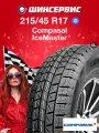 Зимняя нешипованная шина Compasal IceMaster 215/45 R17 91S