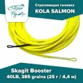 Стреляющая головка KOLA SALMON Skagit Booster 40LB, 385 grains (25 г, 4.4 м)