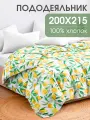 Пододеяльник евро 200х215 см, Ночь Нежна Лимоны, поплин, 100% хлопок