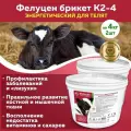 Комплект Кормовая добавка Фелуцен энергетический К2-4 для молодняка КРС, 4кг, 2 штуки