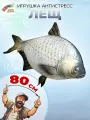 Игрушка антистресс Штучки, к которым тянутся ручки рыба Лещ 46х80 см.