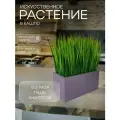 Искусственная осока в ящике для дома и офиса, ПоДар. Ок Home