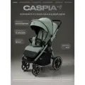 Коляска детская прогулочная всесезонная Rant CASPIA soft, Forest green
